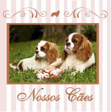 Lilies Cavaliers - Nossos cães